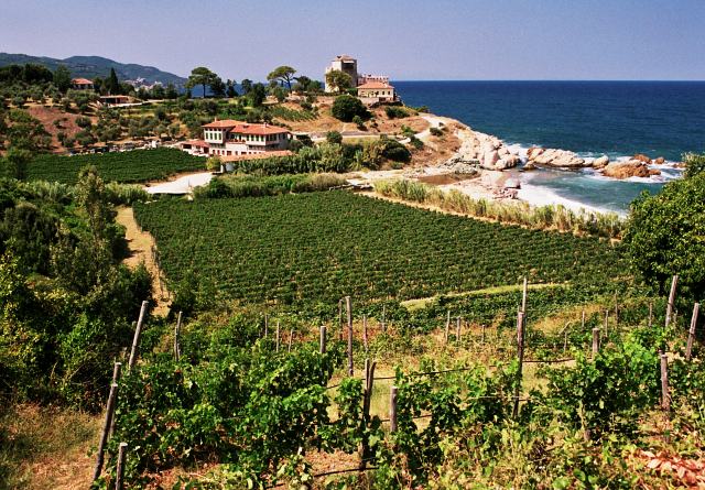 Agion Oros 2007 - Photo 1