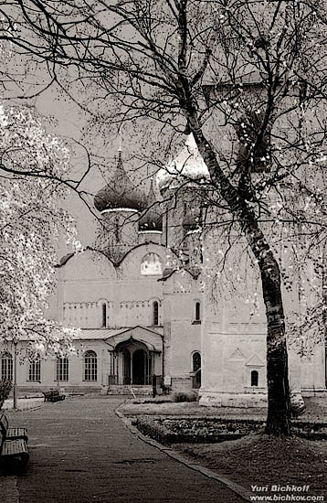 Спасо-Евфимиевский монастырь