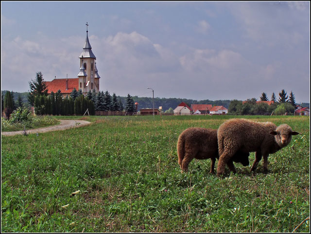 the village church
