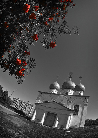 Рябинушка (Fisheye-series)
