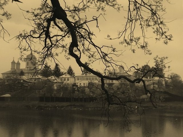 Pasarea monastery