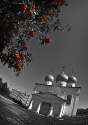 sqlap 
Рябинушка (Fisheye-series) 
2007-08-17 23:29:54