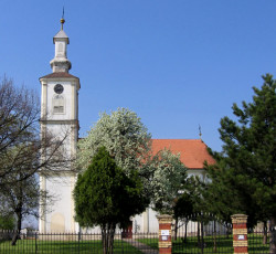 Zoran Sremski 
Доњи Петровци - Donji Petrovci 
2007-08-20 23:27:29