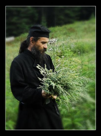 	În curăţie, în cunoştinţă, în îndelungă-răbdare, în bunătate, în Duhul Sfânt.....