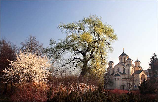 early spring