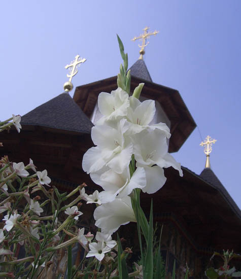 Liniste...Sf.Manastire Petru Voda,Judetul Neamt, Romania