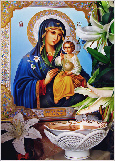 +    Theotokos-The Lively Flower    +