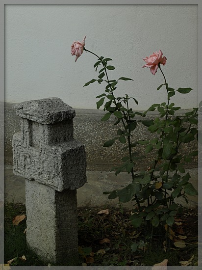 the CRUCIFIX and the vibration of nature + CRUCEA si tresarirea naturii