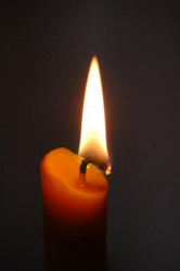 sapuric 
С В И Ј Е Ћ А 
2007-09-01 14:04:26