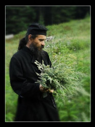 thyrfing 
	În curăţie, în cunoştinţă, în îndelungă-răbdare, în bunătate, în Duhul Sfânt..... 
2007-09-01 22:54:34