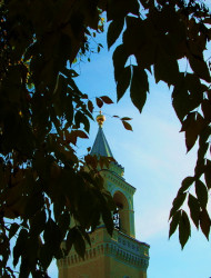 Dunyasha 
Сквозь листву 
2007-09-24 09:48:09