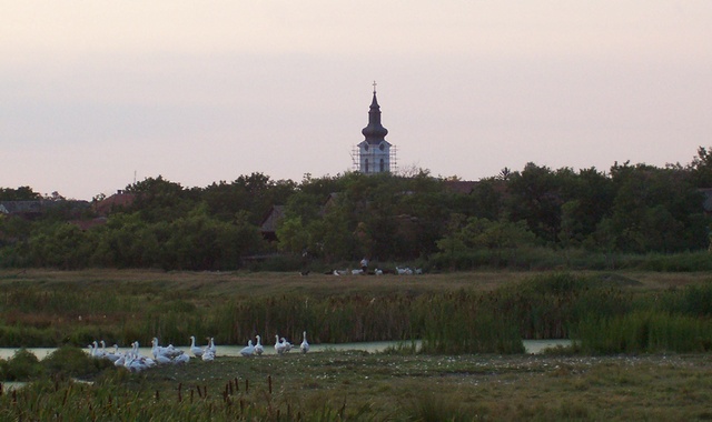 Српски Крстур - Северни Банат