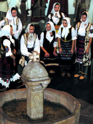 D.J. 
Ој, јабуко зеленико 
2007-10-09 23:03:32