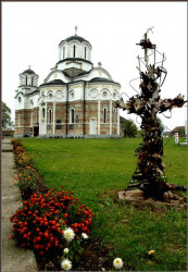 b.backovic 
+Поглед на цркву у Драгинцу+ 
2007-10-11 23:33:26