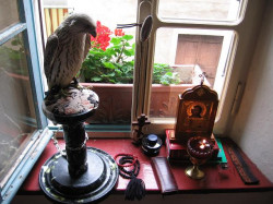 nikolaj 
Creature is looking on the Creator 
2007-10-15 10:56:22
