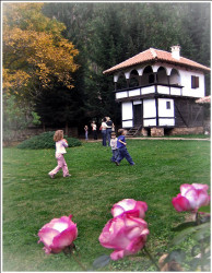 Tanjica 
јесен у манастиру 
2007-10-16 13:19:56