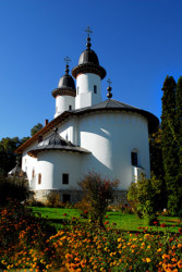 thyrfing 
Manastirea Varatec - Neamt 
2007-10-19 11:13:46