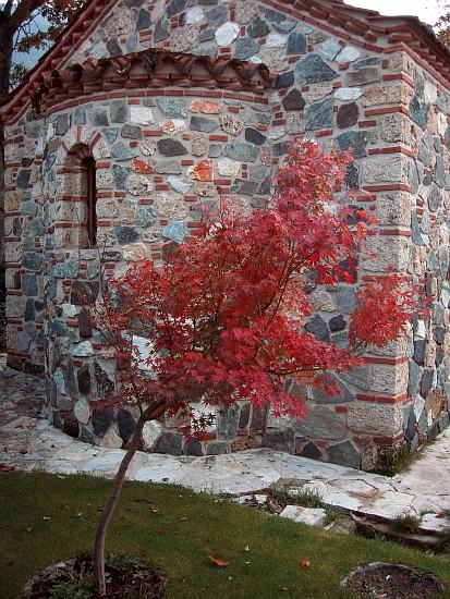 autumn..