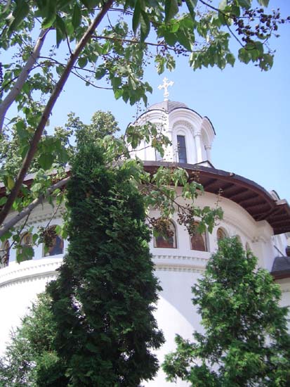 Schitul Darvari, Bucuresti