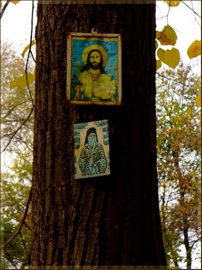 Autumn at Jercalai Monastery !