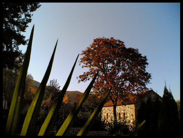 autumn sunset 2