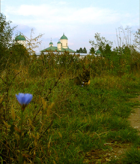 Monastery Cernica - 6