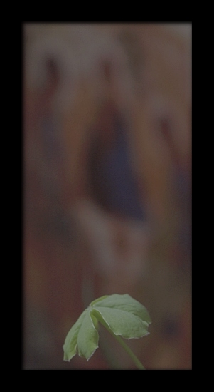 † † †