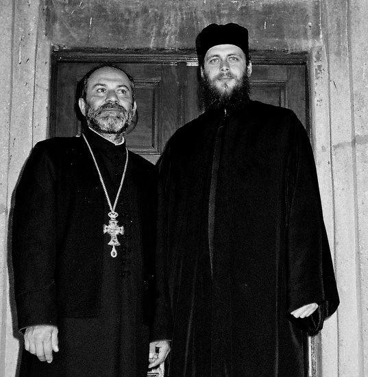 У Папраћи
