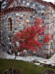 Kozma 
autumn.. 
2007-11-01 21:46:17