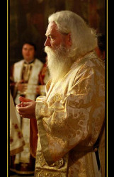 carol 
liturghisire 
2007-11-03 00:16:51