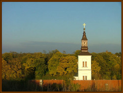 mikica 
Јесен у Манастиру Крушедол 
2007-11-05 20:56:34