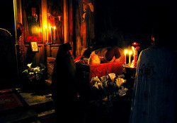 vpopovic 
Целивање моштију 
2007-11-06 09:48:20
