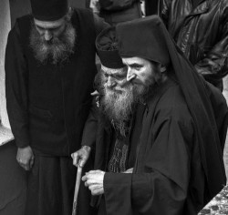 thiv56 
In Portaitissa's  litany, expecting the icon 
2007-11-10 13:42:30