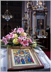 Tanjica 
манастир Беочин 
2007-11-13 14:43:08
