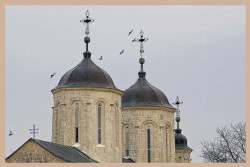 Ognjen 
Манастир Ковиљ 
2007-11-14 09:17:00