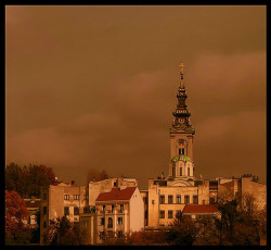 mikica 
Београд - Belgrade 
186 
2007-11-15 06:49:32