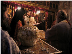Tanjica 
Цар Небесни.. 
2007-11-17 16:17:43
