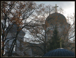 Saško 
Vera=lek=zdravlje! 
2007-11-17 22:35:33