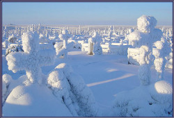dprm 
Кресты Заполярья 
318 
2007-11-19 12:37:11