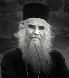 Armagedon 
Митрополит Амфилохије 
2007-11-19 23:24:02