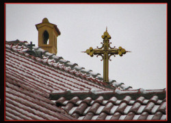 Saško 
Naši krovovi 
2007-11-24 01:24:22