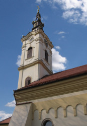 Zoran Sremski 
Земун - Zemun 
2007-11-30 19:22:26