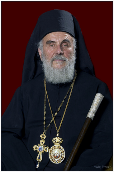 Portret vladike