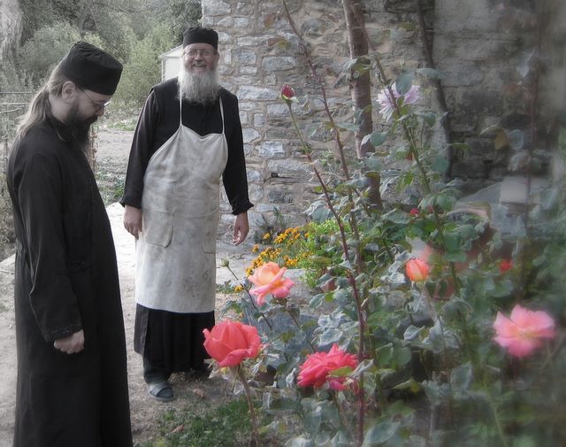 ΑΝΘΗ ΕΡΗΜΟΥ