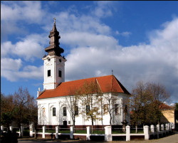 Zoran Sremski 
Тител - Titel 
2007-12-06 22:19:17