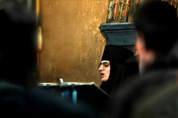 GuliVar 
У Манастиру Беочин 
2007-12-08 19:07:09
