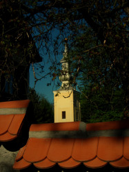 s.B.Marjan 
Боговађа 
2007-12-08 20:12:26