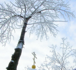 Dunyasha 
Заснеженное. 
2007-12-09 11:53:54