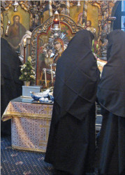 OvidiuMihail 
 
2007-12-19 21:31:02