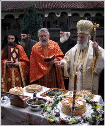 Tanjica 
 
2007-12-20 23:27:28